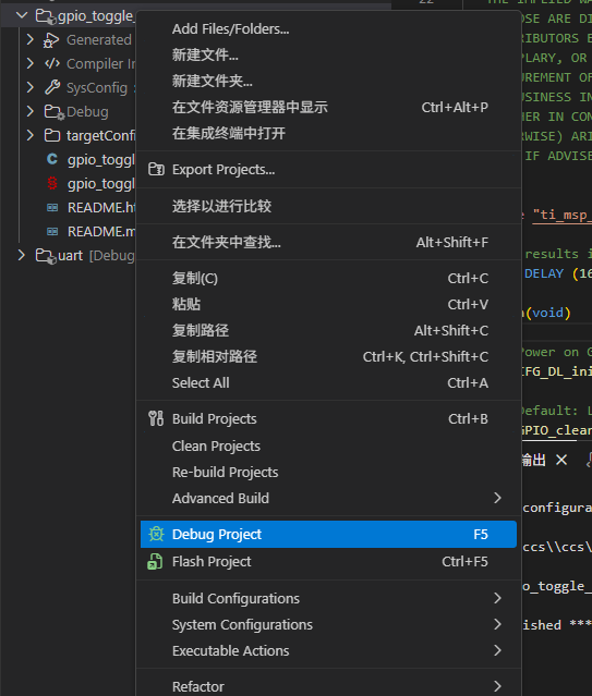Debug Project